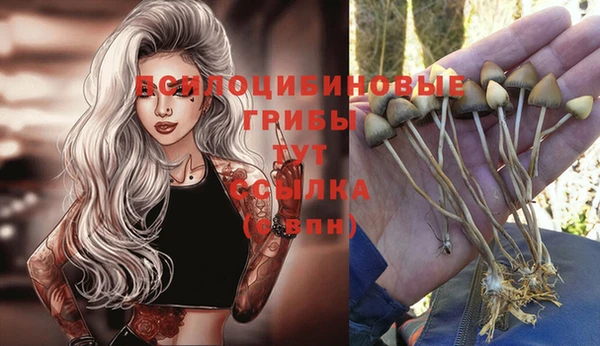 ALPHA-PVP Абинск