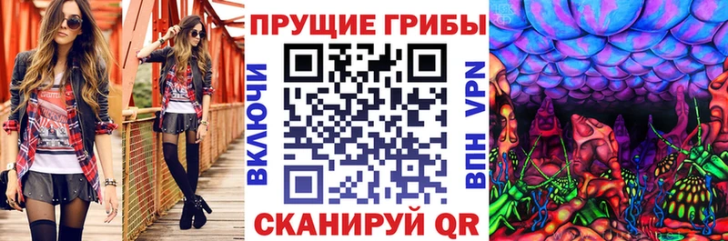Псилоцибиновые грибы GOLDEN TEACHER  Кизилюрт 